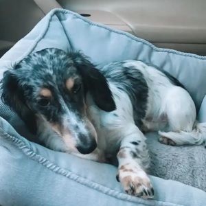 Meet your Posher, Melena